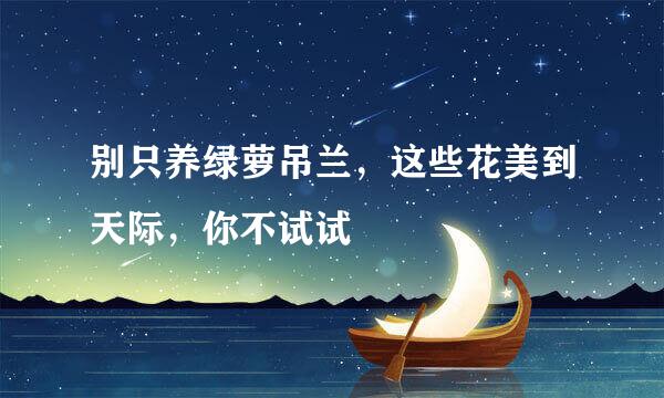 别只养绿萝吊兰，这些花美到天际，你不试试