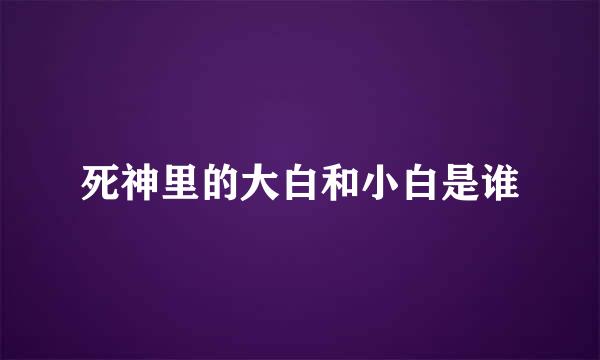 死神里的大白和小白是谁