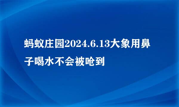 蚂蚁庄园2024.6.13大象用鼻子喝水不会被呛到