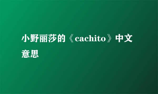 小野丽莎的《cachito》中文意思