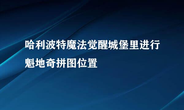 哈利波特魔法觉醒城堡里进行魁地奇拼图位置