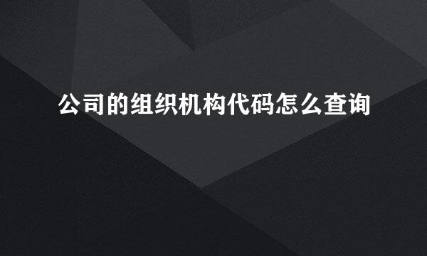 公司的组织机构代码怎么查询