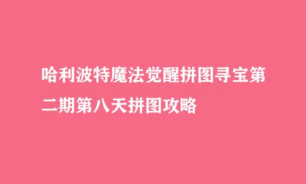 哈利波特魔法觉醒拼图寻宝第二期第八天拼图攻略