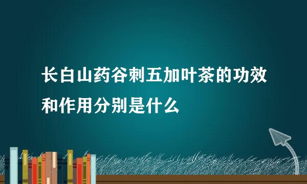 长白山药谷刺五加叶茶的功效和作用分别是什么