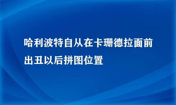 哈利波特自从在卡珊德拉面前出丑以后拼图位置