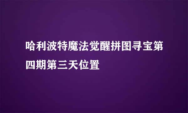 哈利波特魔法觉醒拼图寻宝第四期第三天位置