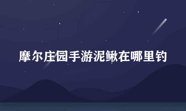 摩尔庄园手游泥鳅在哪里钓