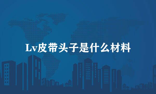 Lv皮带头子是什么材料