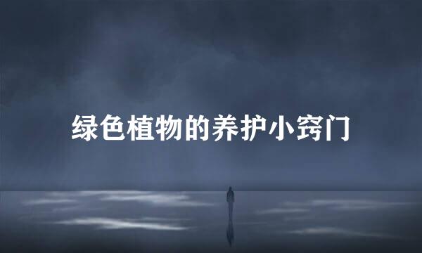 绿色植物的养护小窍门