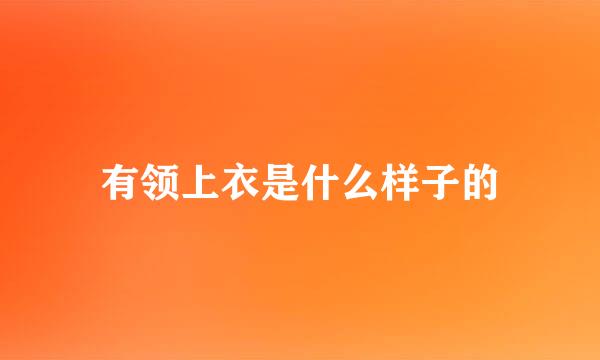 有领上衣是什么样子的
