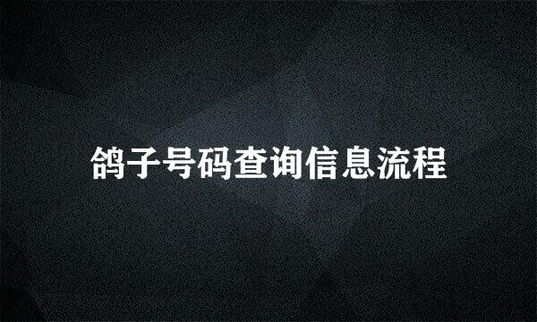 鸽子号码查询信息流程