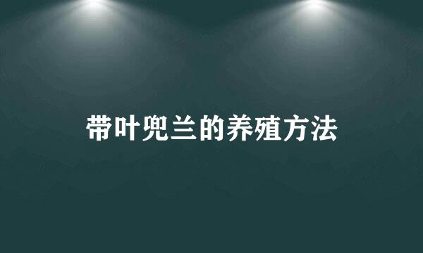 带叶兜兰的养殖方法
