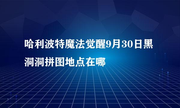 哈利波特魔法觉醒9月30日黑洞洞拼图地点在哪