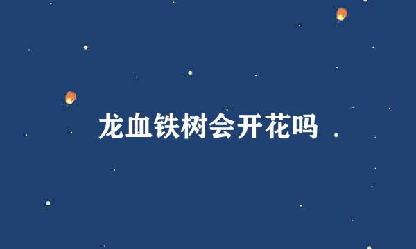 龙血铁树会开花吗