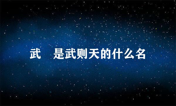 武曌是武则天的什么名