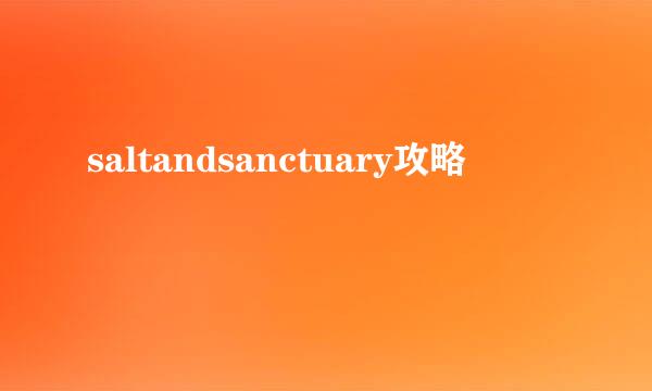 saltandsanctuary攻略