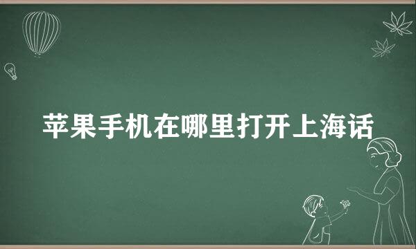 苹果手机在哪里打开上海话