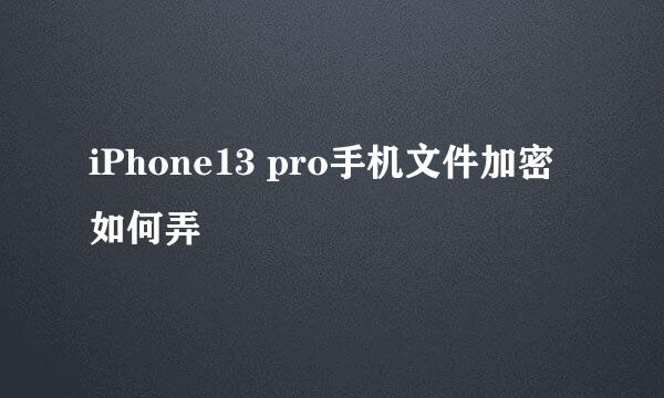 iPhone13 pro手机文件加密如何弄