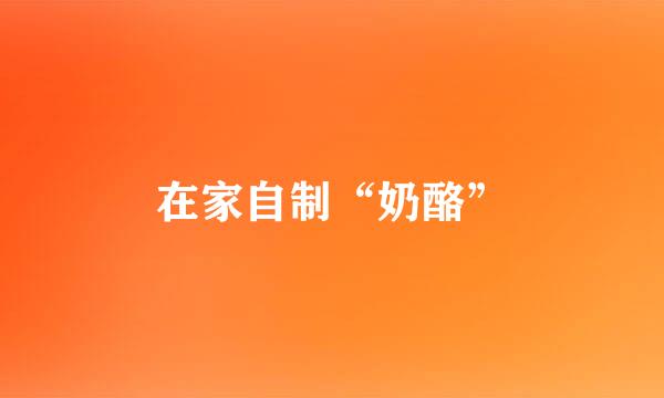 在家自制“奶酪”