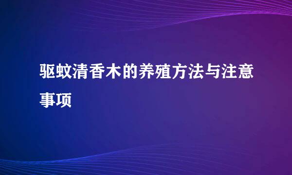 驱蚊清香木的养殖方法与注意事项