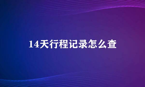14天行程记录怎么查