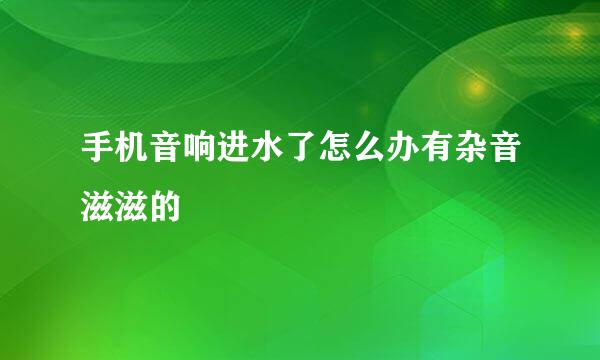 手机音响进水了怎么办有杂音滋滋的