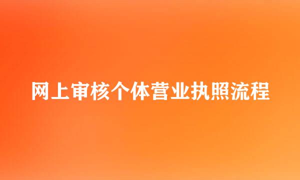 网上审核个体营业执照流程