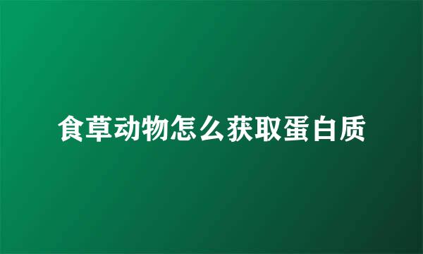 食草动物怎么获取蛋白质