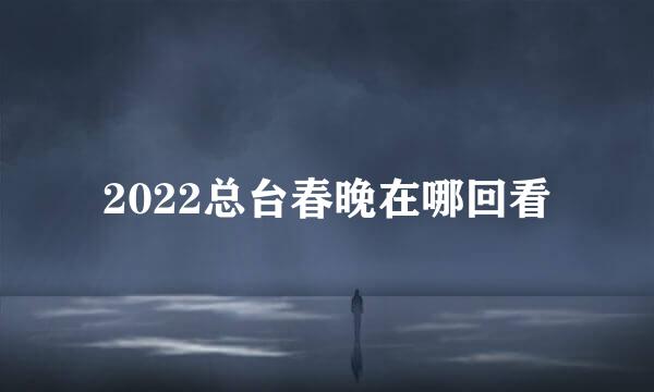 2022总台春晚在哪回看