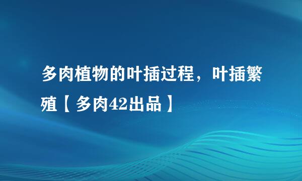 多肉植物的叶插过程，叶插繁殖【多肉42出品】