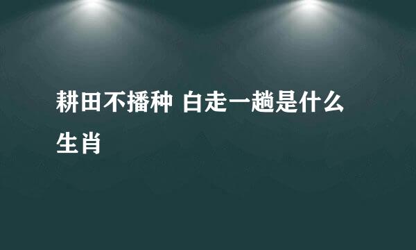 耕田不播种 白走一趟是什么生肖