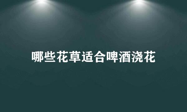 哪些花草适合啤酒浇花