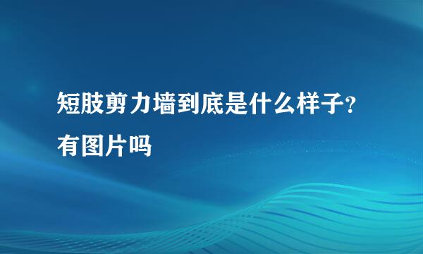 短肢剪力墙到底是什么样子？有图片吗