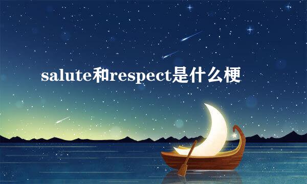 salute和respect是什么梗