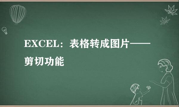 EXCEL：表格转成图片——剪切功能