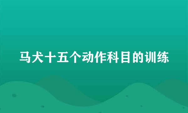 马犬十五个动作科目的训练