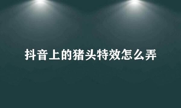 抖音上的猪头特效怎么弄