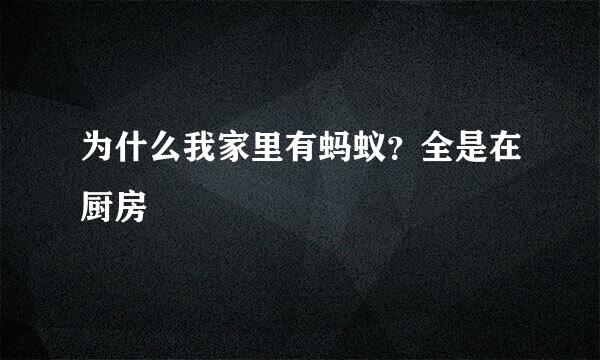 为什么我家里有蚂蚁？全是在厨房