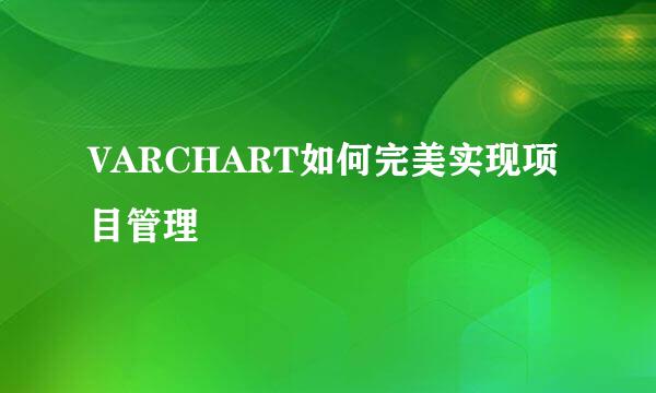 VARCHART如何完美实现项目管理