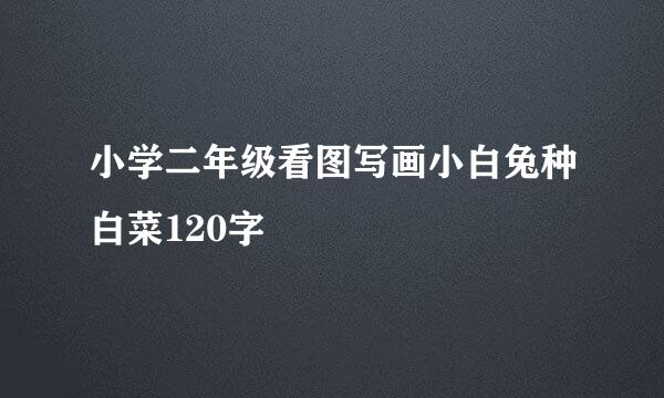 小学二年级看图写画小白兔种白菜120字