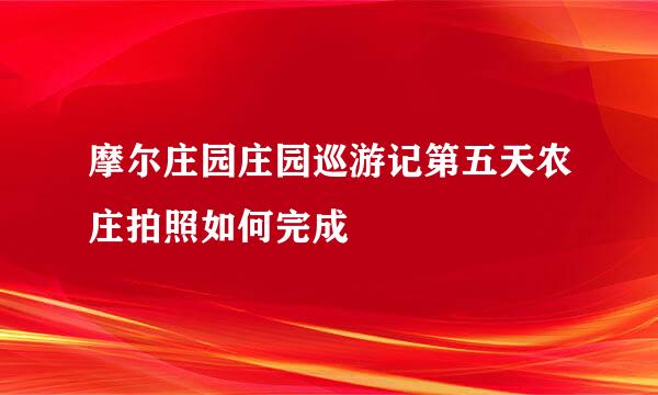 摩尔庄园庄园巡游记第五天农庄拍照如何完成