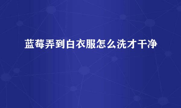 蓝莓弄到白衣服怎么洗才干净