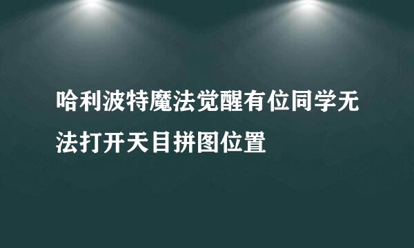 哈利波特魔法觉醒有位同学无法打开天目拼图位置