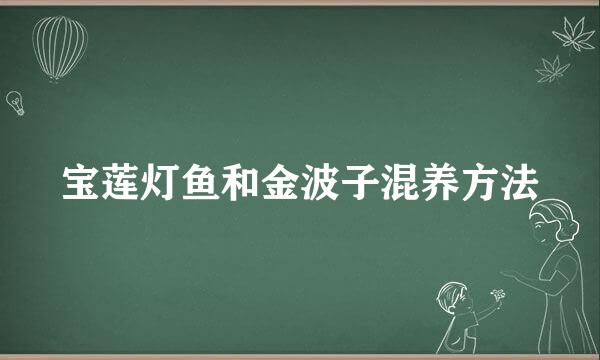 宝莲灯鱼和金波子混养方法