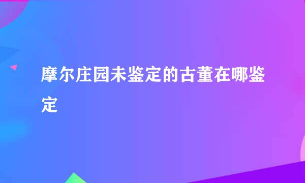 摩尔庄园未鉴定的古董在哪鉴定