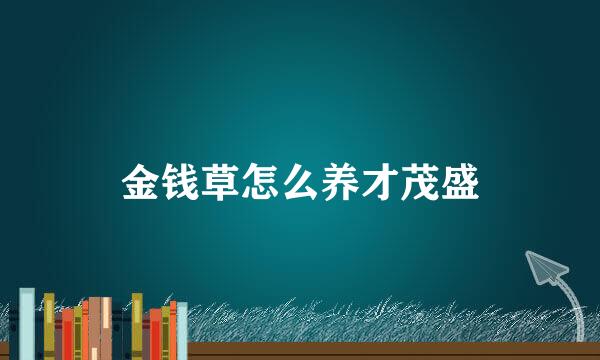 金钱草怎么养才茂盛