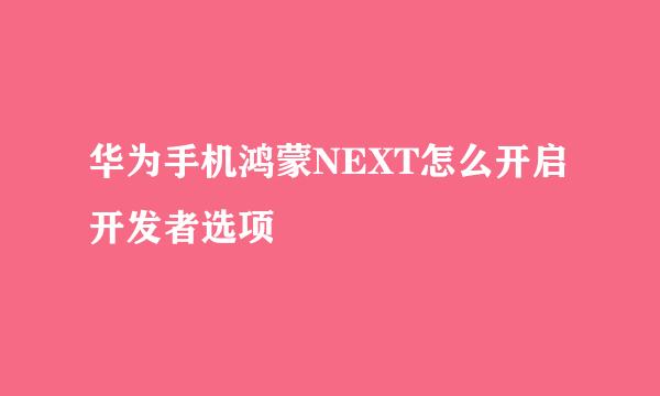 华为手机鸿蒙NEXT怎么开启开发者选项