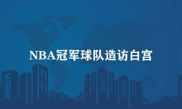 NBA冠军球队造访白宫
