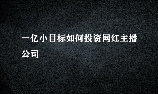 一亿小目标如何投资网红主播公司