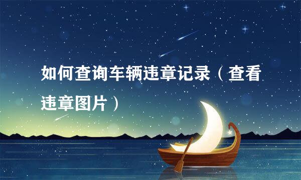 如何查询车辆违章记录（查看违章图片）